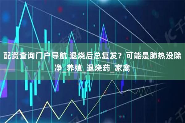 配资查询门户导航 退烧后总复发？可能是肺热没除净_养殖_退烧药_家禽